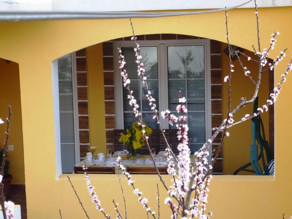 Apartments Brac Супетар Стая снимка